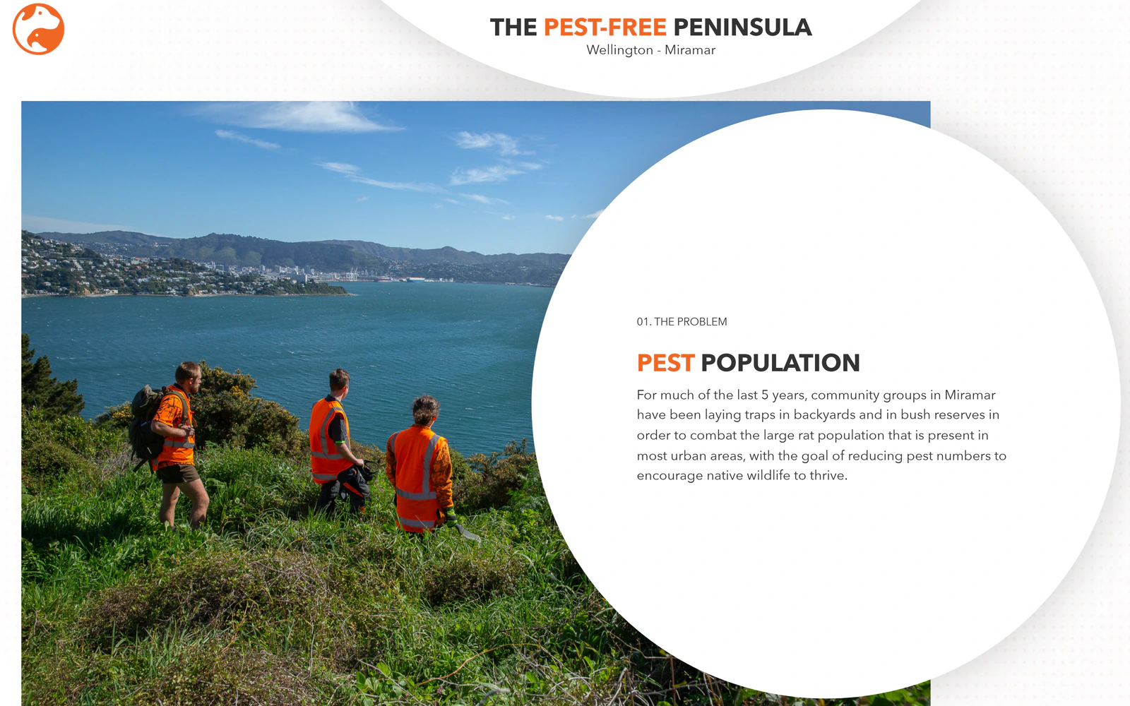 Three Trap and Trigger field staff in hi-vis on a hillside above Wellington Harbour, from their own website