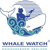 Whale Watch Kaikōura